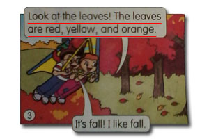 Look at the leaves! The leaves are red,yellow,and orange.