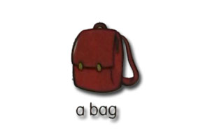 a bag