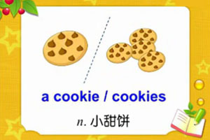 a cookie / cookies