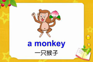 a monkey