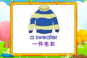 a sweater