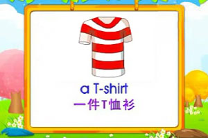 a T-shirt