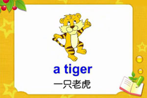 a tiger