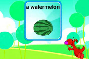 a watermelon