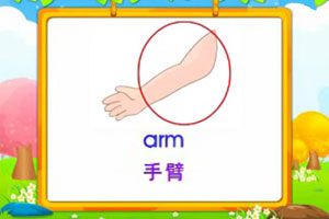 arm