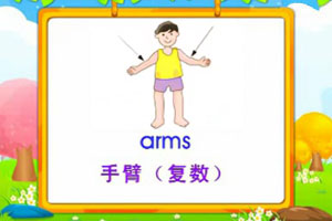 arms