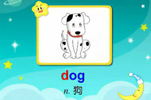 D dog