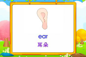 ear