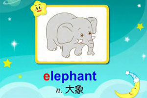 elephant