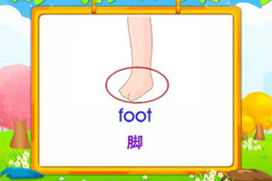 foot