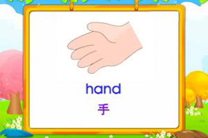 hand