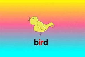 ir bird