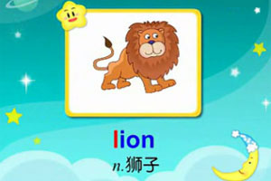 lion