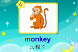 monkey