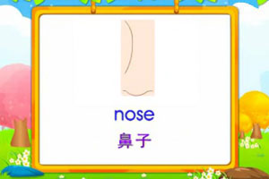 nose