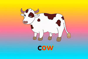 ow-cow
