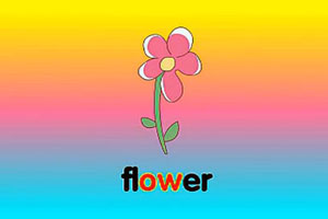 ow-flower