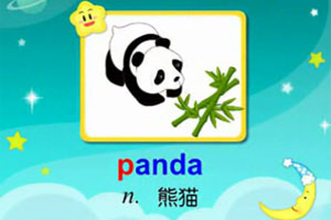 panda