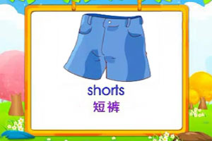 shorts