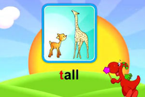 t tall