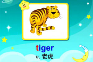 tiger