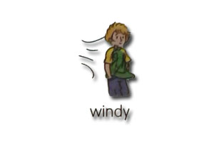 windy