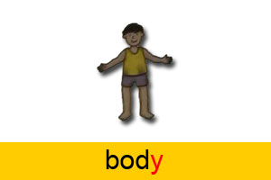 y body