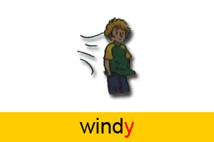 y windy